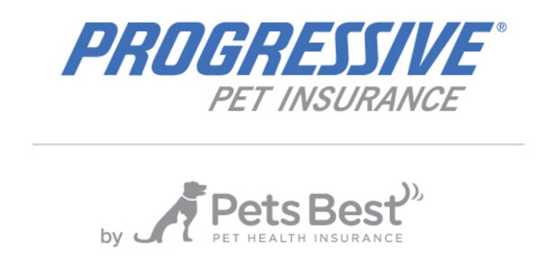 Pet Insurance 